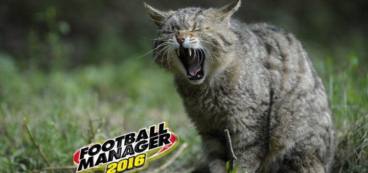 Kariera Football Manager