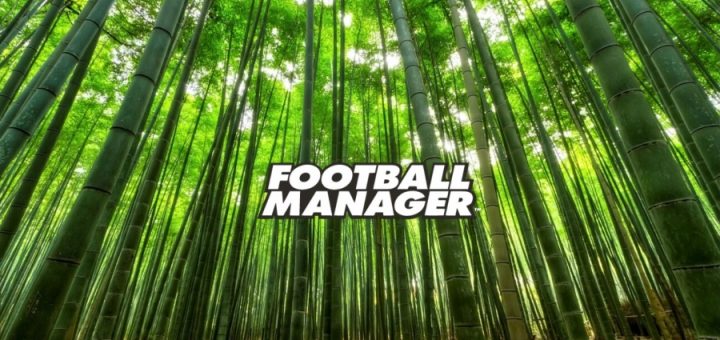 Bambusowa tyczka Football Manager blog
