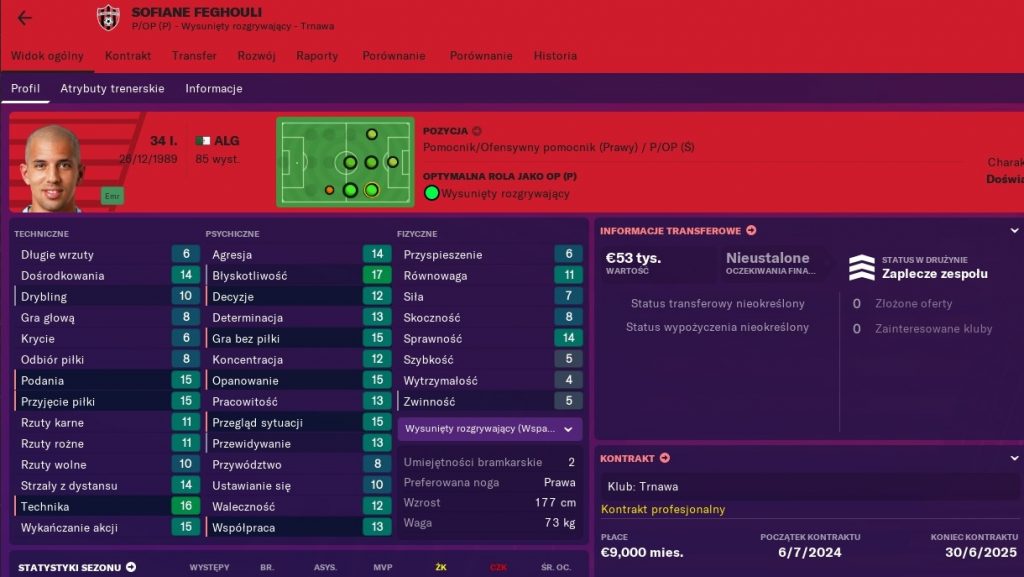 Feghouli FM19